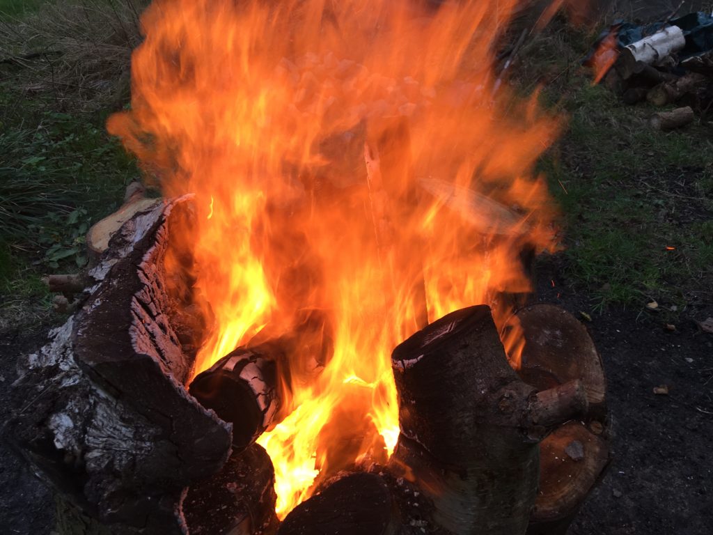 Large log fire