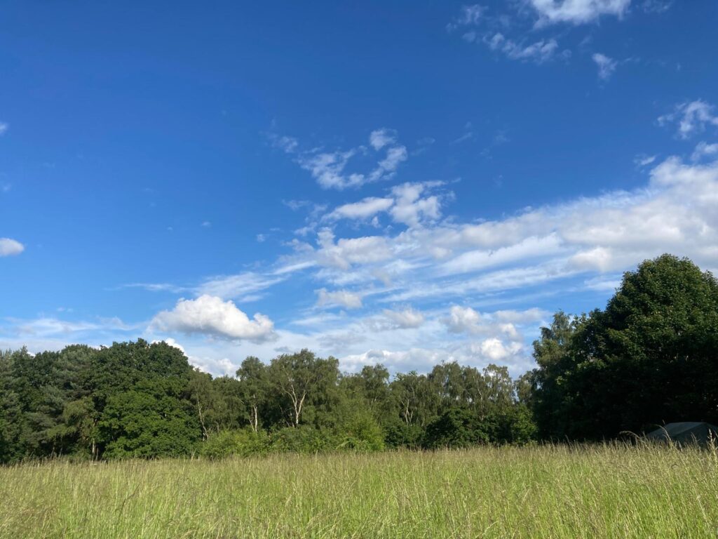 Blue sky over field