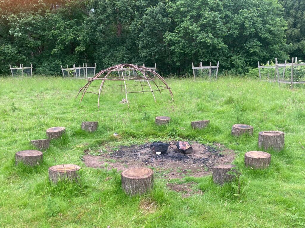 Log circle and lodge bones